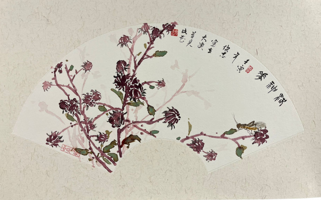 洛神花Roselle plant