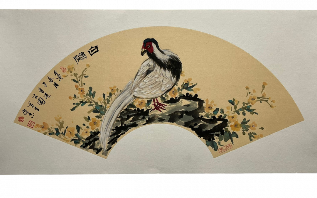 白鷳Silver Pheasant